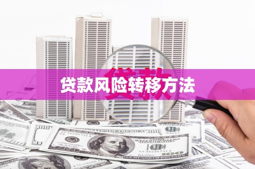 右玉贷款风险转移方法