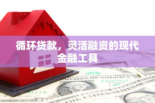 右玉循环贷款，灵活融资的现代金融工具