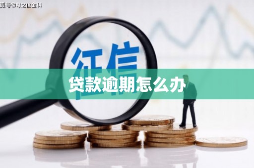 右玉贷款逾期怎么办