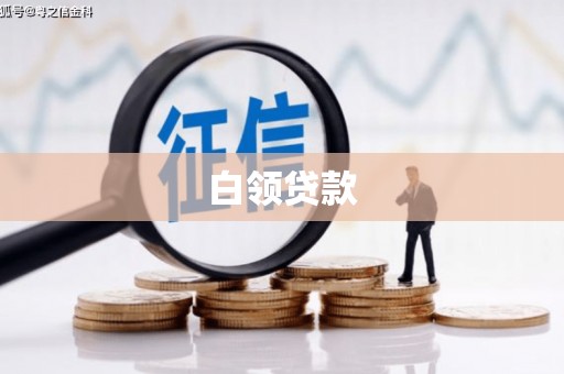 右玉白领贷款