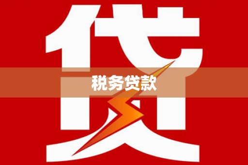 右玉税务贷款