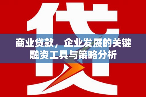 右玉商业贷款，企业发展的关键融资工具与策略分析