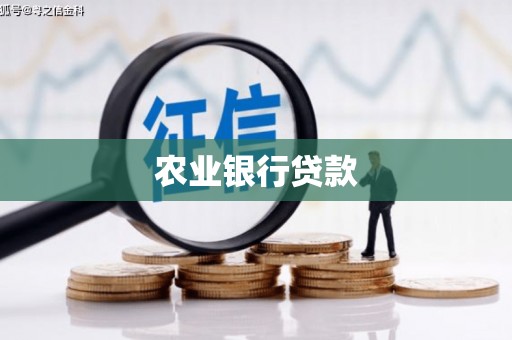 右玉农业银行贷款