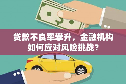 右玉贷款不良率攀升，金融机构如何应对风险挑战？
