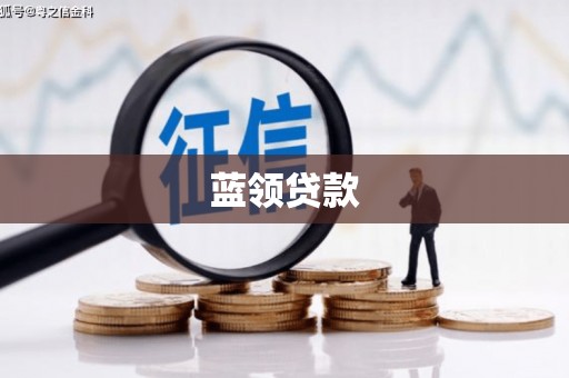 右玉蓝领贷款