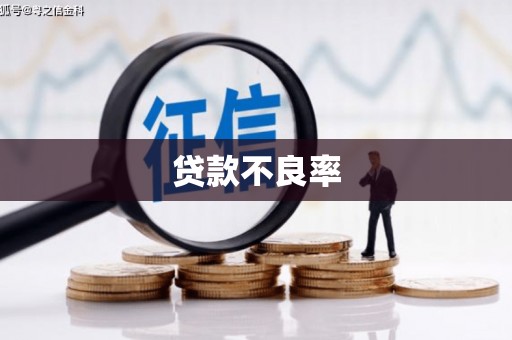 右玉贷款不良率