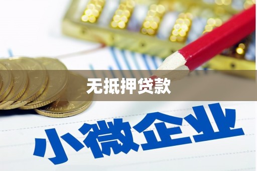右玉无抵押贷款
