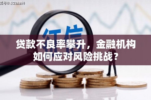 右玉贷款不良率攀升，金融机构如何应对风险挑战？