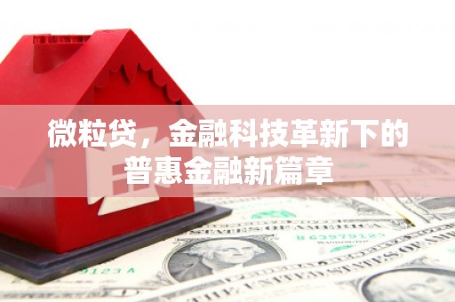 右玉微粒贷，金融科技革新下的普惠金融新篇章