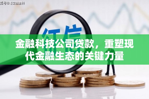 右玉金融科技公司贷款，重塑现代金融生态的关键力量