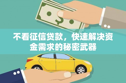 右玉不看征信贷款，快速解决资金需求的秘密武器