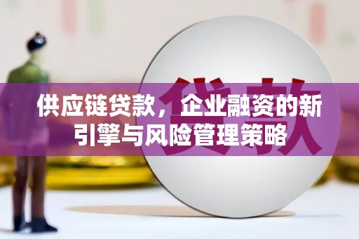 右玉供应链贷款，企业融资的新引擎与风险管理策略