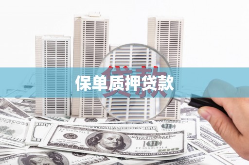 右玉保单质押贷款