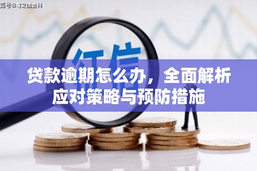 右玉贷款逾期怎么办，全面解析应对策略与预防措施
