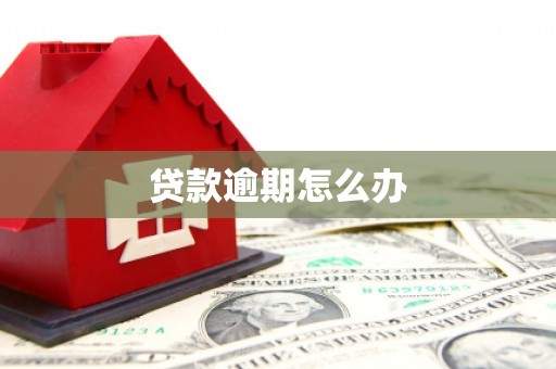 右玉贷款逾期怎么办