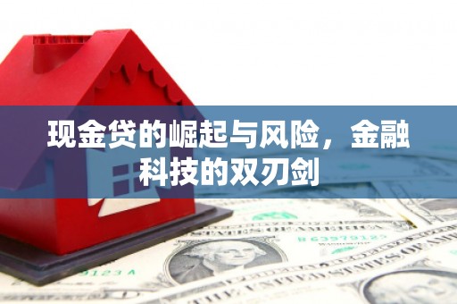 右玉现金贷的崛起与风险，金融科技的双刃剑