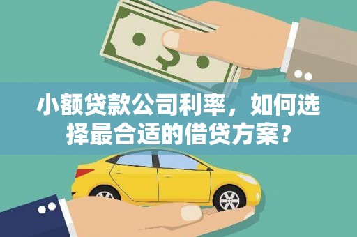 右玉小额贷款公司利率，如何选择最合适的借贷方案？