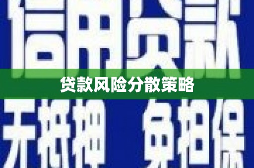 右玉贷款风险分散策略
