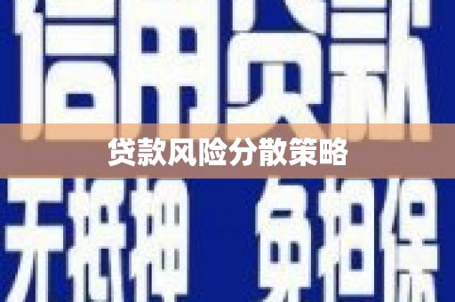 右玉贷款风险分散策略
