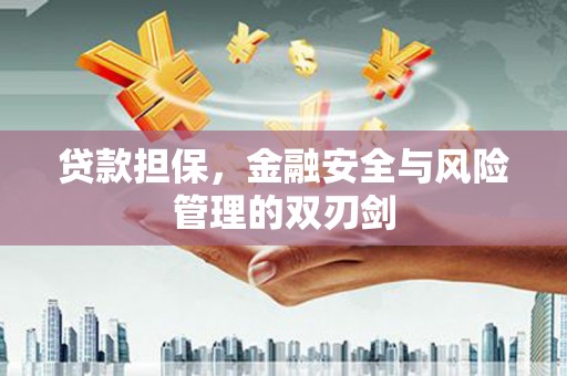 右玉贷款担保，金融安全与风险管理的双刃剑