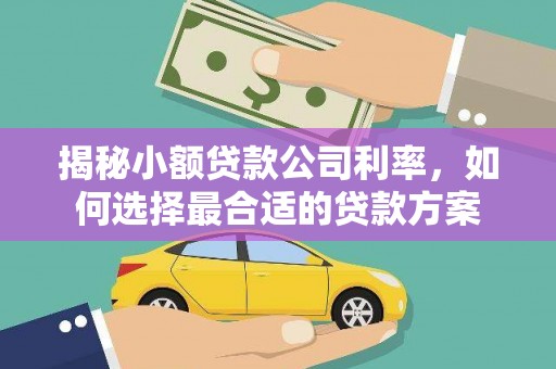 右玉揭秘小额贷款公司利率，如何选择最合适的贷款方案