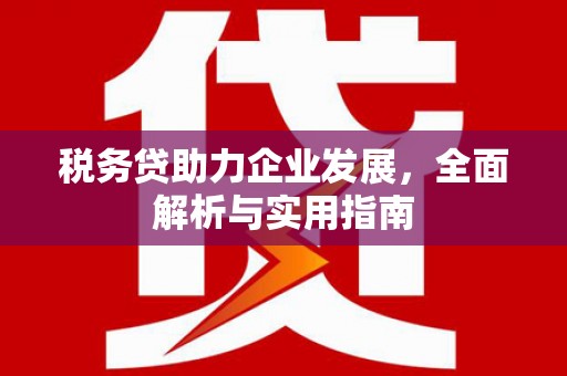 右玉税务贷助力企业发展，全面解析与实用指南