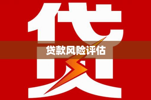右玉贷款风险评估