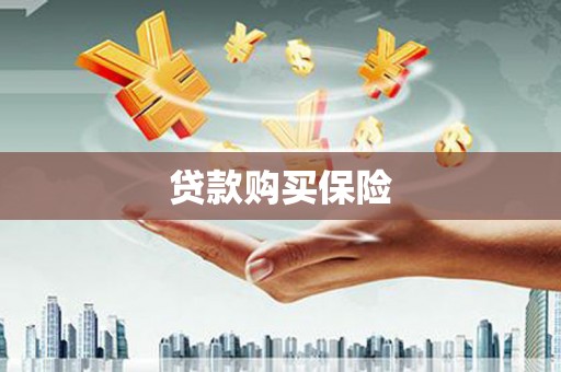 右玉贷款购买保险