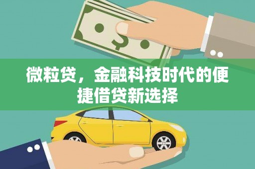 右玉微粒贷，金融科技时代的便捷借贷新选择