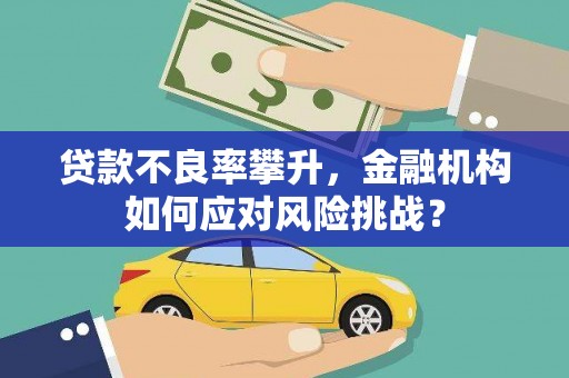 右玉贷款不良率攀升，金融机构如何应对风险挑战？
