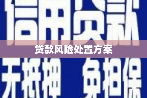 右玉贷款风险处置方案