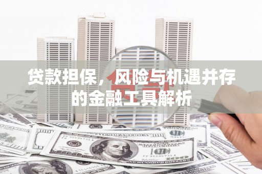 右玉贷款担保，风险与机遇并存的金融工具解析