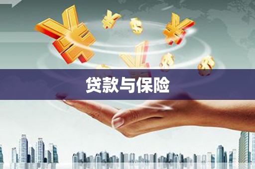 右玉贷款与保险