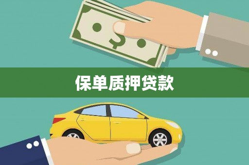 右玉保单质押贷款