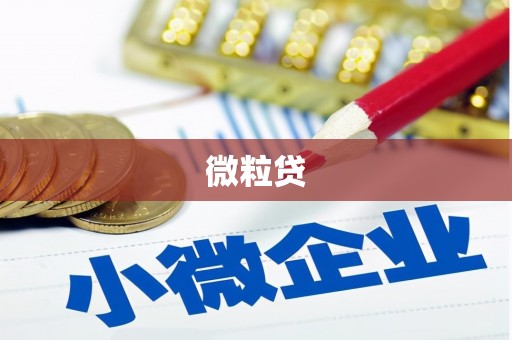 右玉微粒贷