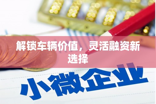 右玉解锁车辆价值，灵活融资新选择