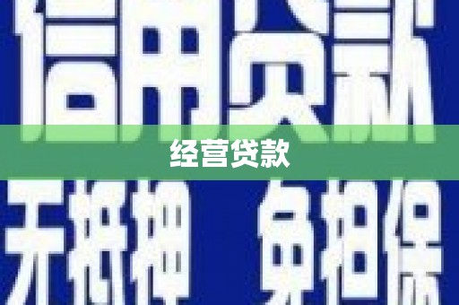 右玉经营贷款
