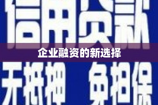 右玉企业融资的新选择