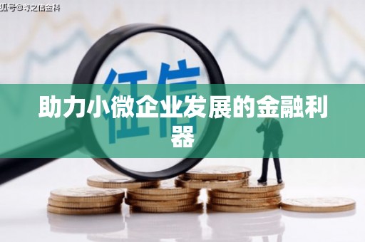 右玉助力小微企业发展的金融利器