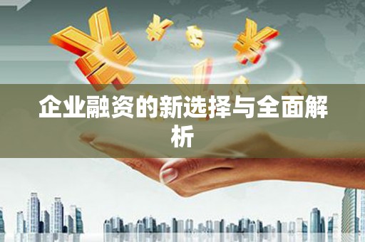 右玉企业融资的新选择与全面解析