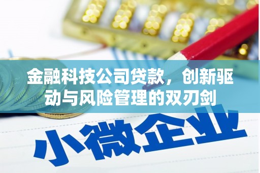 右玉金融科技公司贷款，创新驱动与风险管理的双刃剑